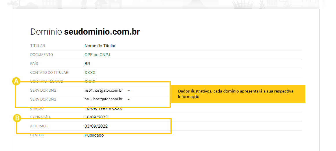 DNS apontando corretamente BR 1.png