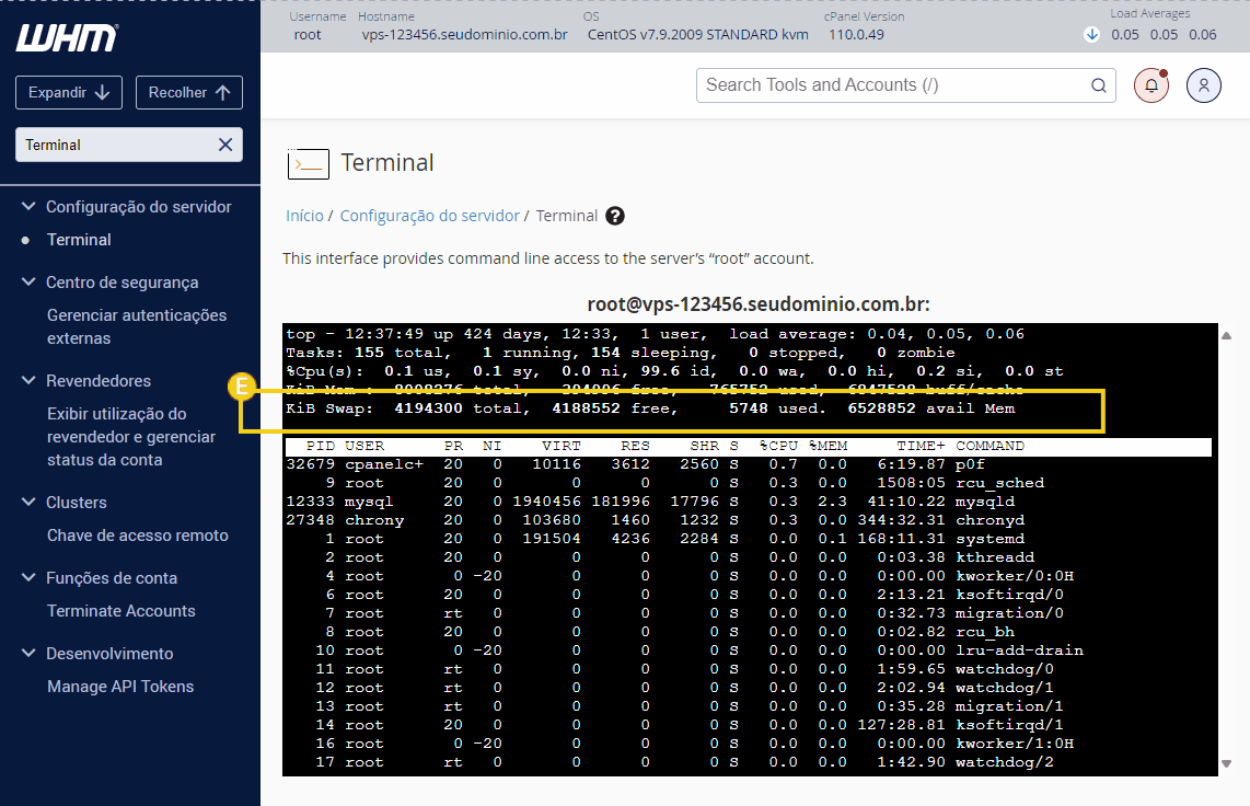 monitorar vps br6.gif