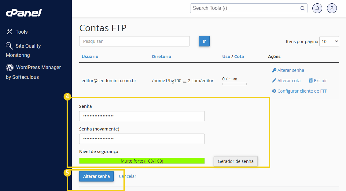 Tela do Cpanel na seção Contas FTP para adicionar a nova senha e salvar.png