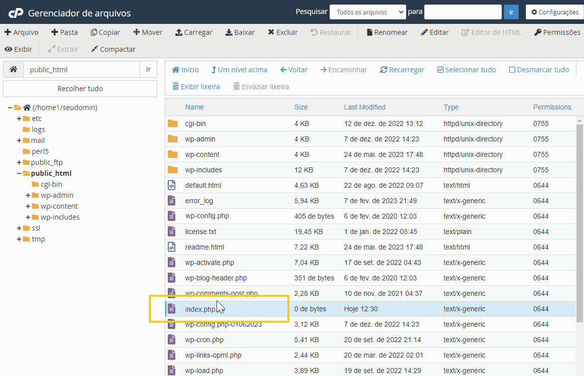 Gerenciador de arquivos mostrando diretório public_html com arquivos do site, destacando o arquivo index.php em amarelo