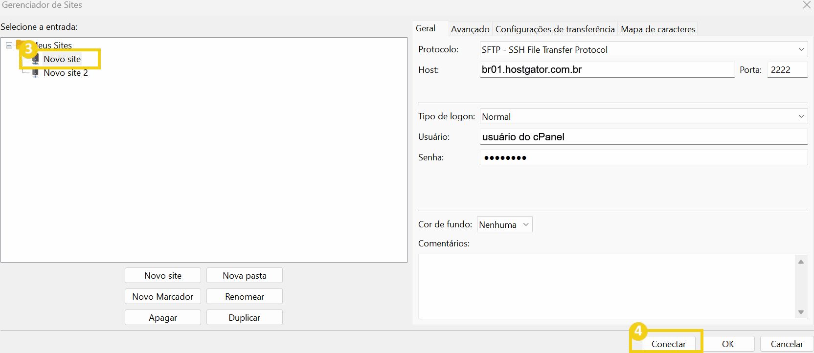Tela do gerenciador de sites mostrando a configuração para adicionar um novo site via protocolo SFTP, incluindo campos para usuário e senha.