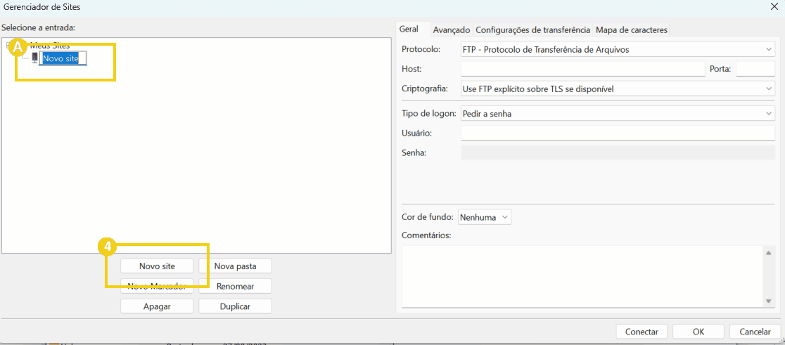 Imagem do gerenciador de sites com opções para criar novo site, incluindo configuração de FTP e autenticação.