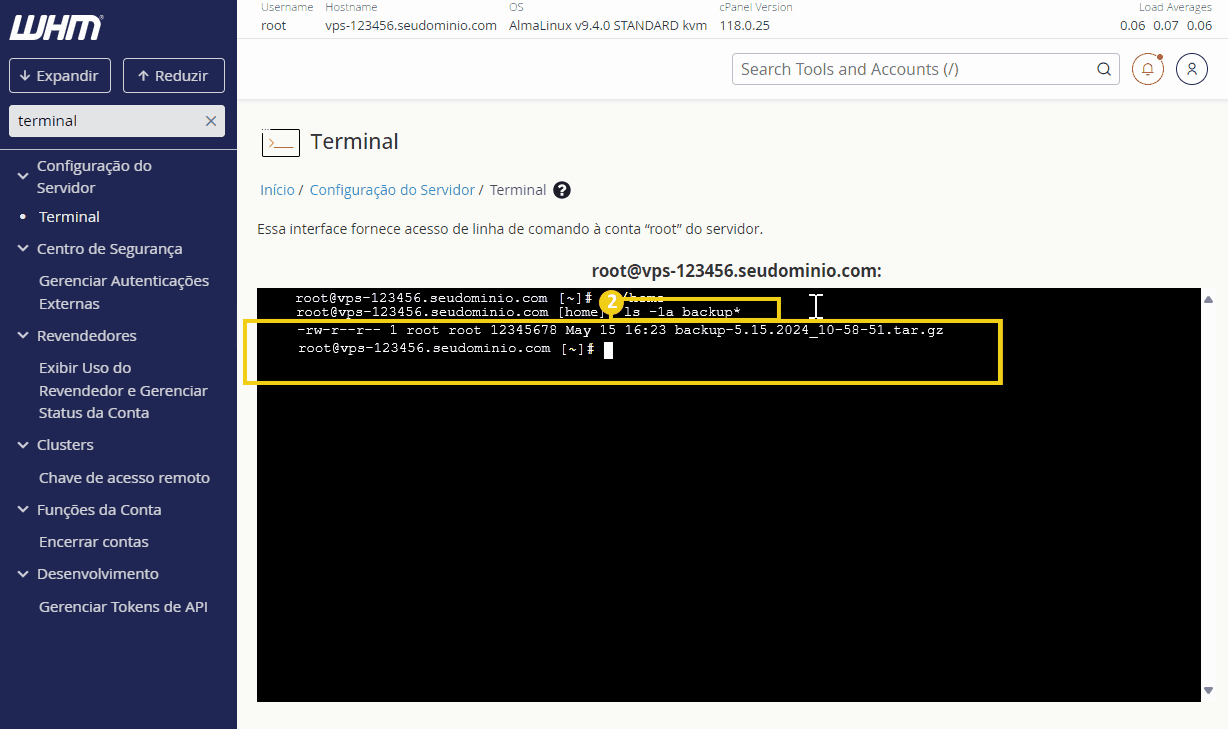 Captura de tela do terminal do WHM, mostrando acesso ao servidor e comandos executados para gerenciamento de arquivos.