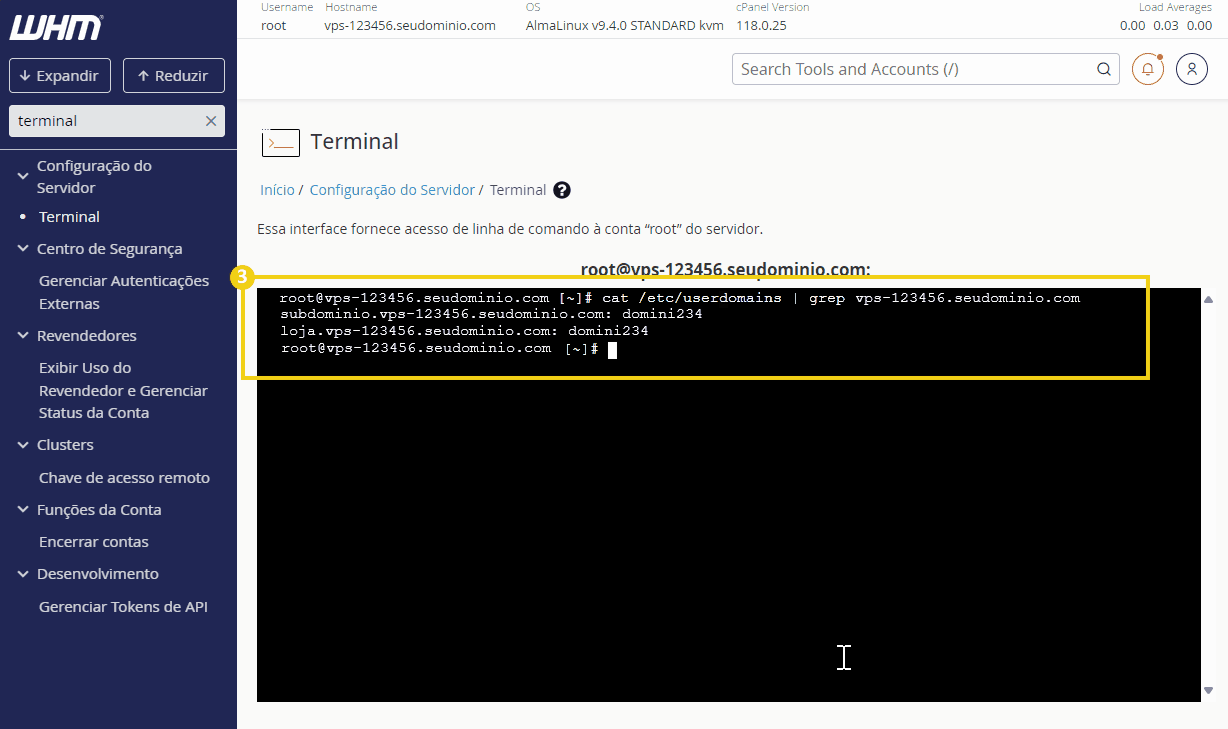 Terminal do WHM mostrando acesso à linha de comando do servidor, exibindo informações sobre o domínio e login.