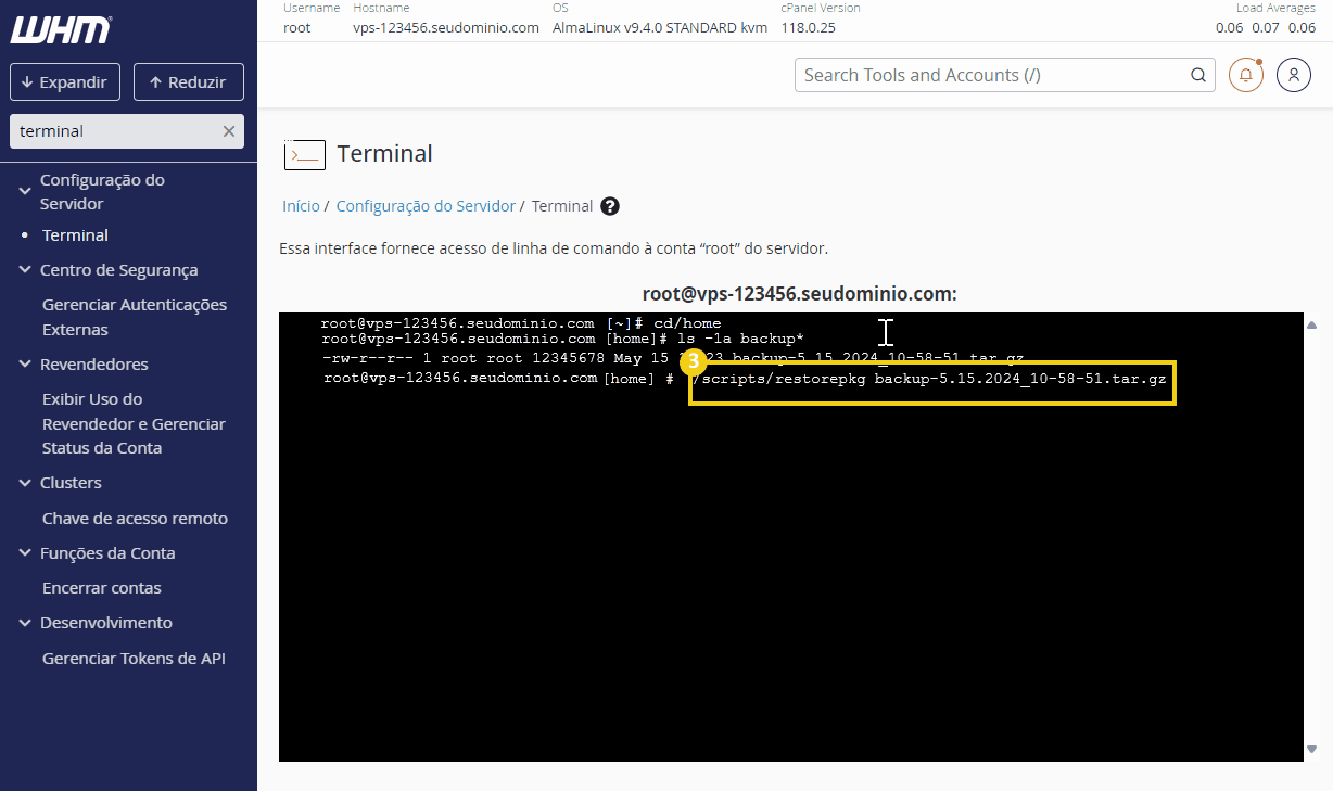 terminal-whm-backup-comandos.webp.png