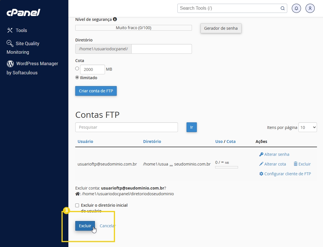 Tela do cPanel exibindo opções para gerenciar contas FTP, incluindo exclusão de conta