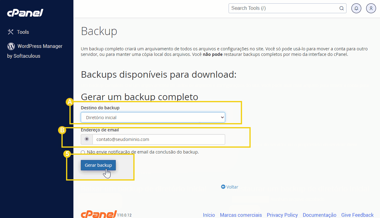 Captura de tela do cPanel mostrando como gerar um backup completo de um site, com opções de destino e endereço de email.