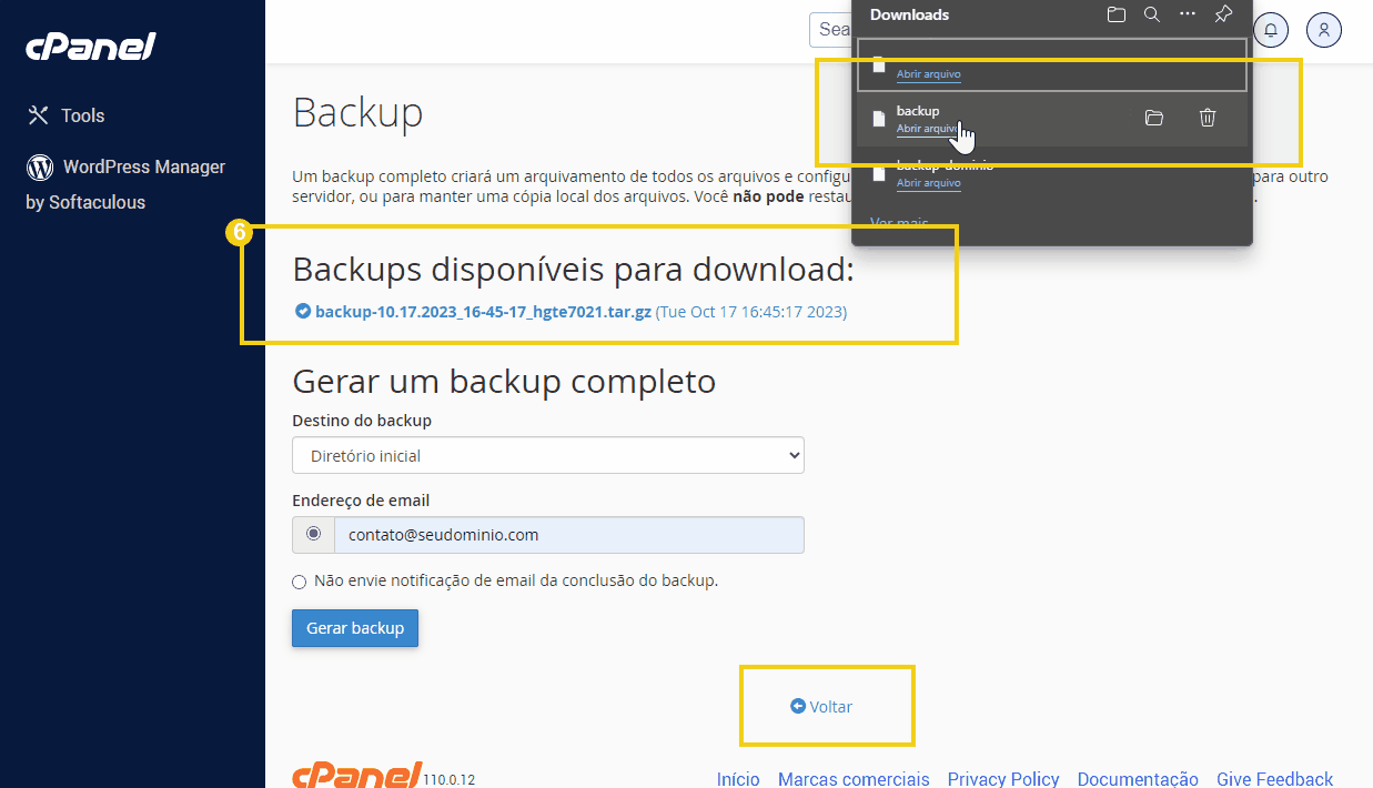 cpanel-backup-tela.webp.png