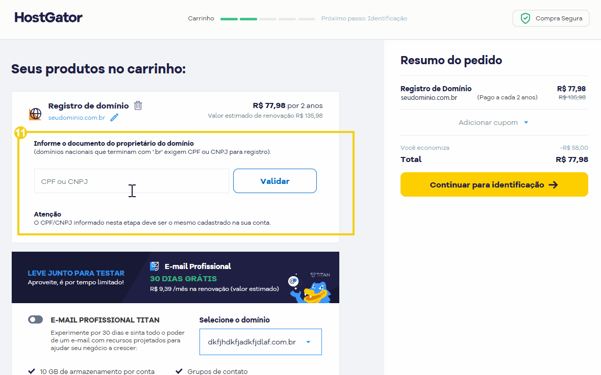 imagem mostrando o dominio internacional que precisa informar o documento do proprietário do domínio