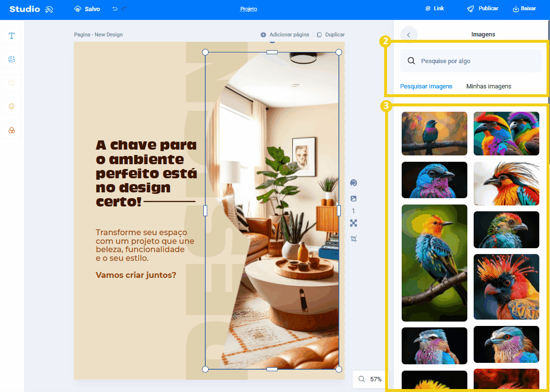 Imagem mostra para clicar em pesquisar imagens que tem disponível na galeria ou "Minhas imagens"