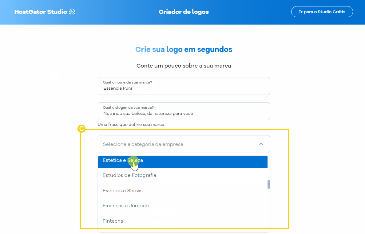 imagem destacando a seleção de categoria da empresa dentre as opções