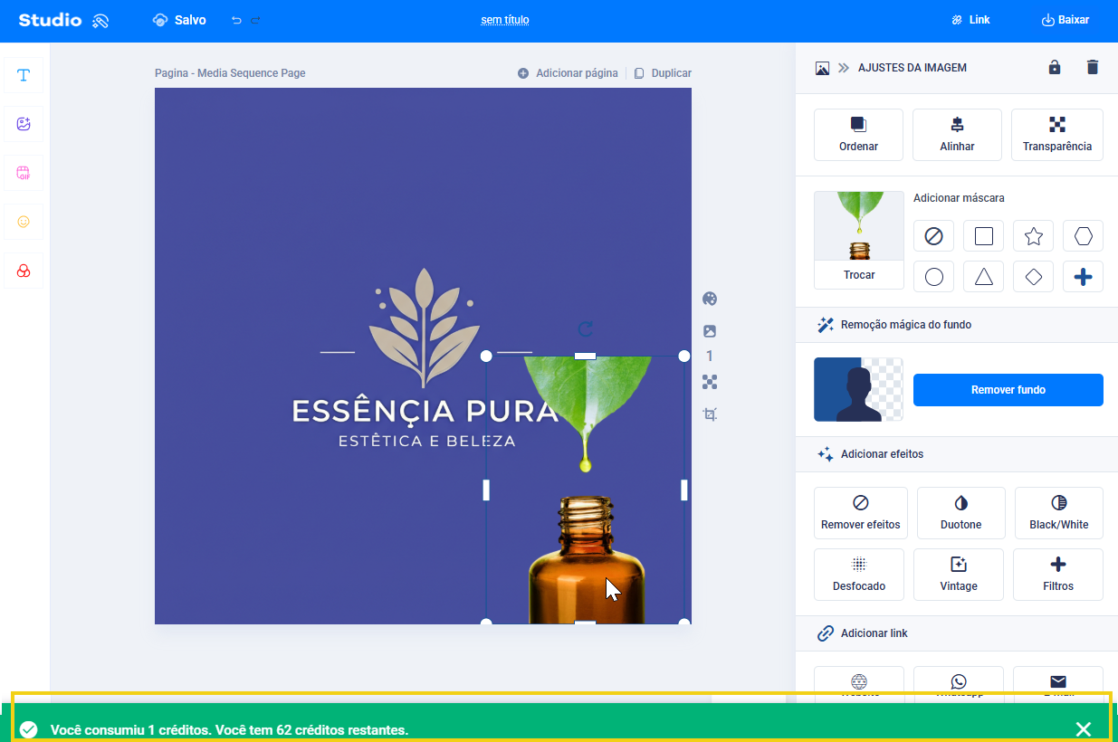 imagem mostrando o painel do editor com a imagem selecionada já com o fundo removido