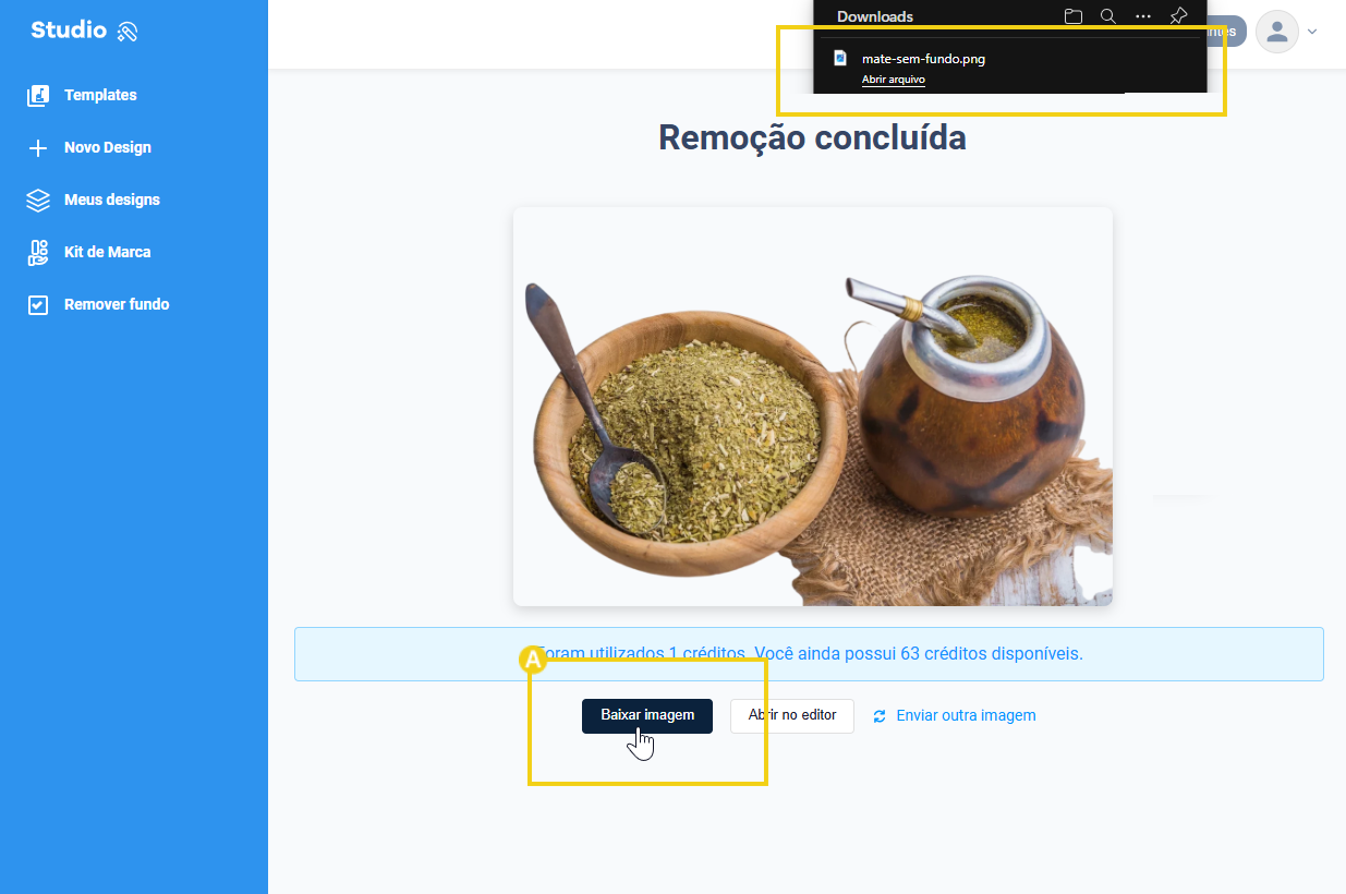 Imagem mostrando o painel do studio, na seção de remoção concluída, destacando o botão baixar imagem