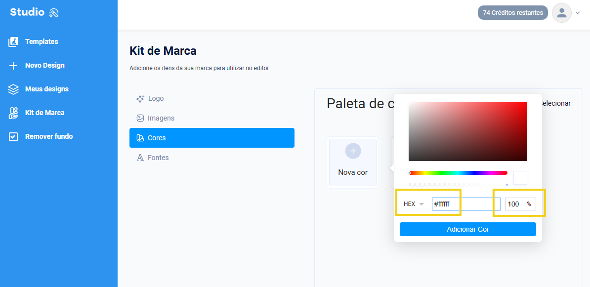 Imagem mostra os campos do código HEX