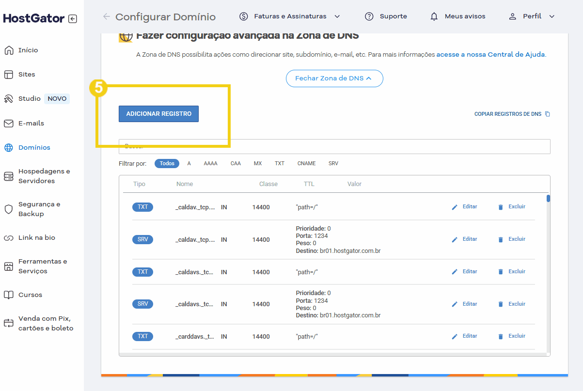 Imagem mostrando o painel de configuração avançada de DNS, contendo opções para adicionar registros DNS, como TXT e SRV, em uma interface de serviço de hospedagem de domínio. 