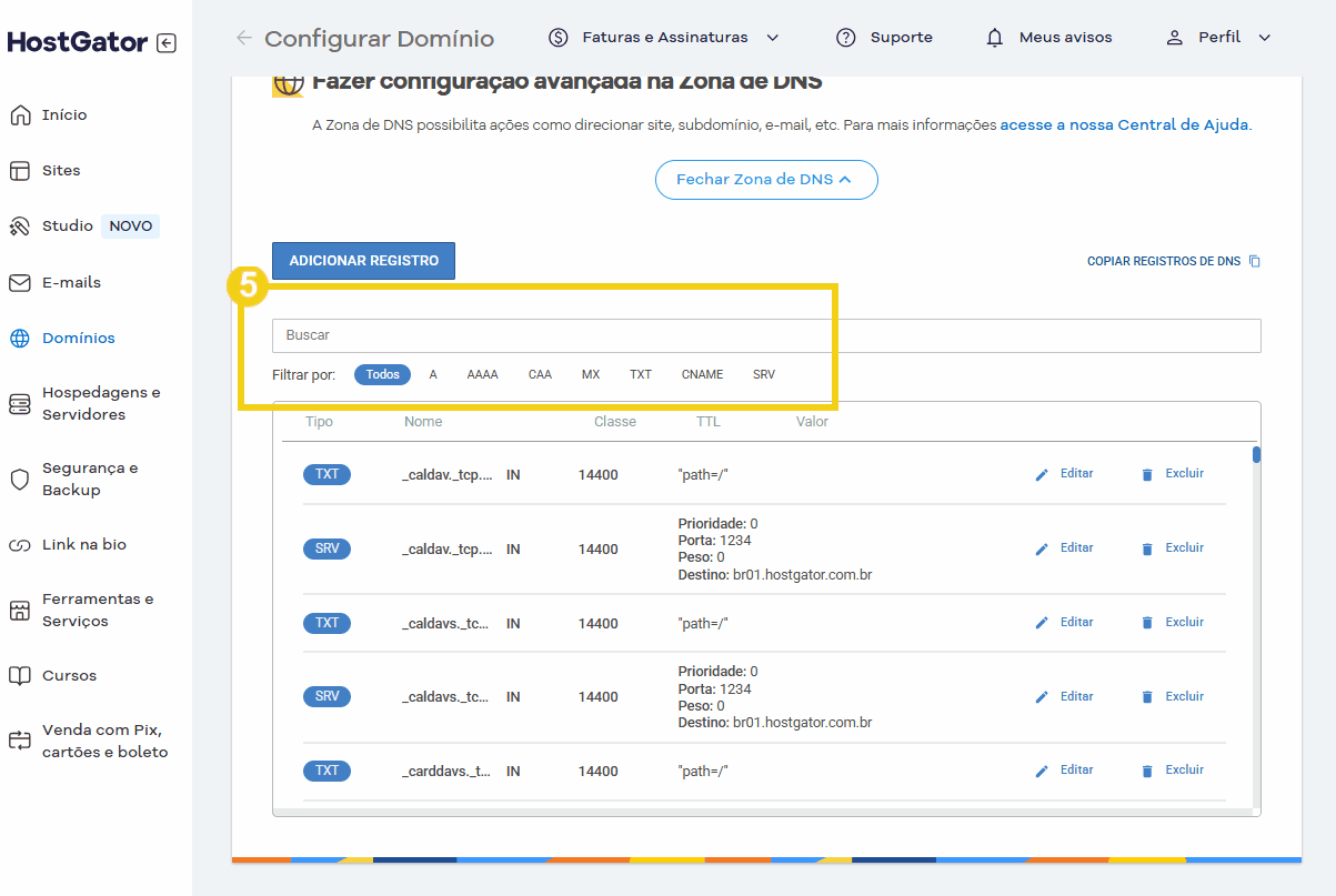 Tela de configuração avançada na zona de DNS do HostGator mostrando os filtros para os registros de DNS para domínio, incluindo tipos TXT e SRV, com opções de editar e excluir.