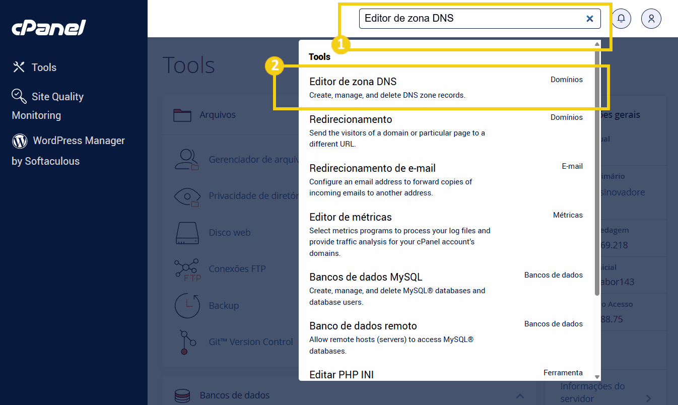 Imagem ilustrativa da interface do cPanel mostrando como acessar o Editor de zona DNS para gerenciamento de domínios na plataforma de hospedagem online.