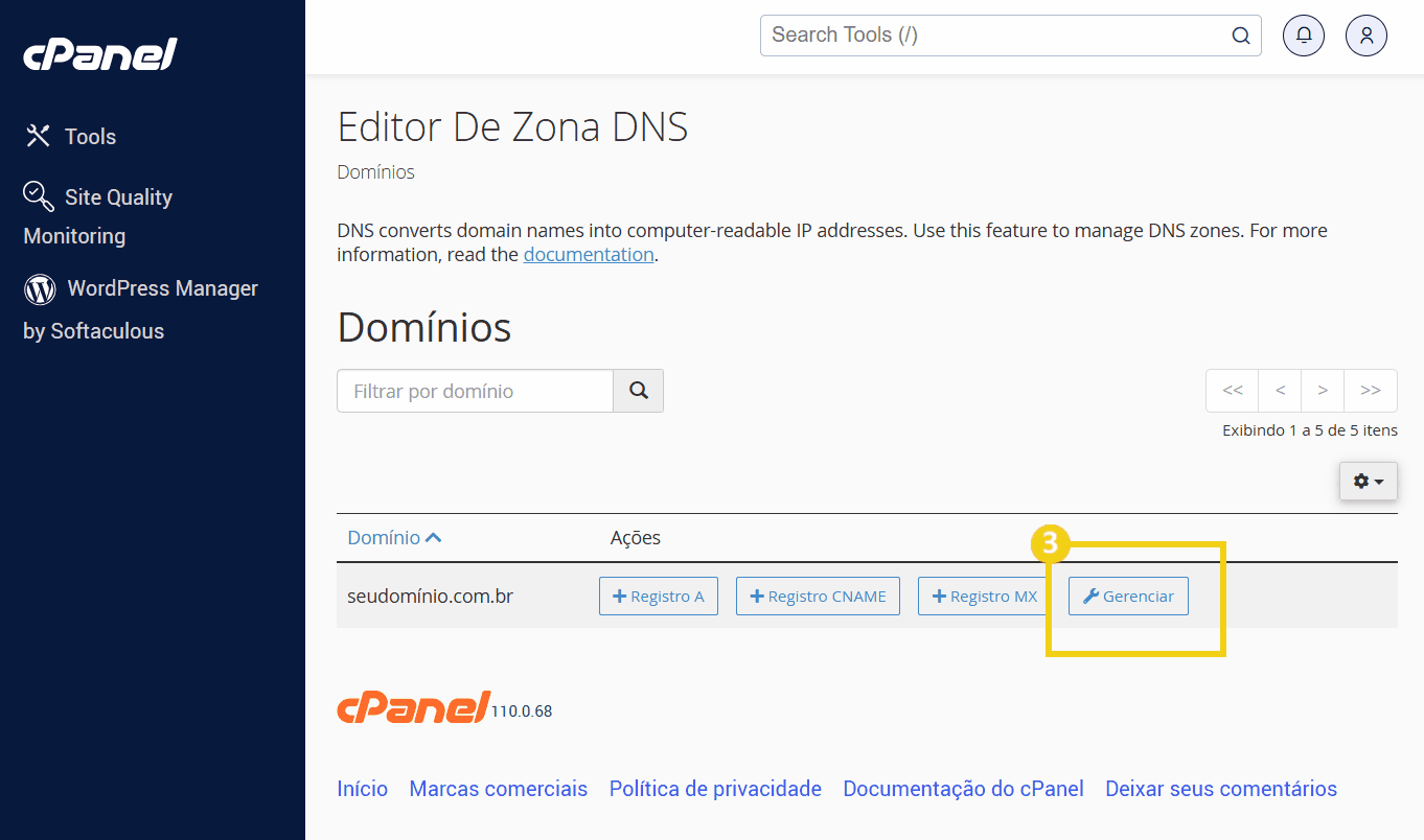 Tela do painel do cPanel mostrando a gestão de domínios DNS, com destaque na opção “Gerenciar” para administrar configurações de DNS.