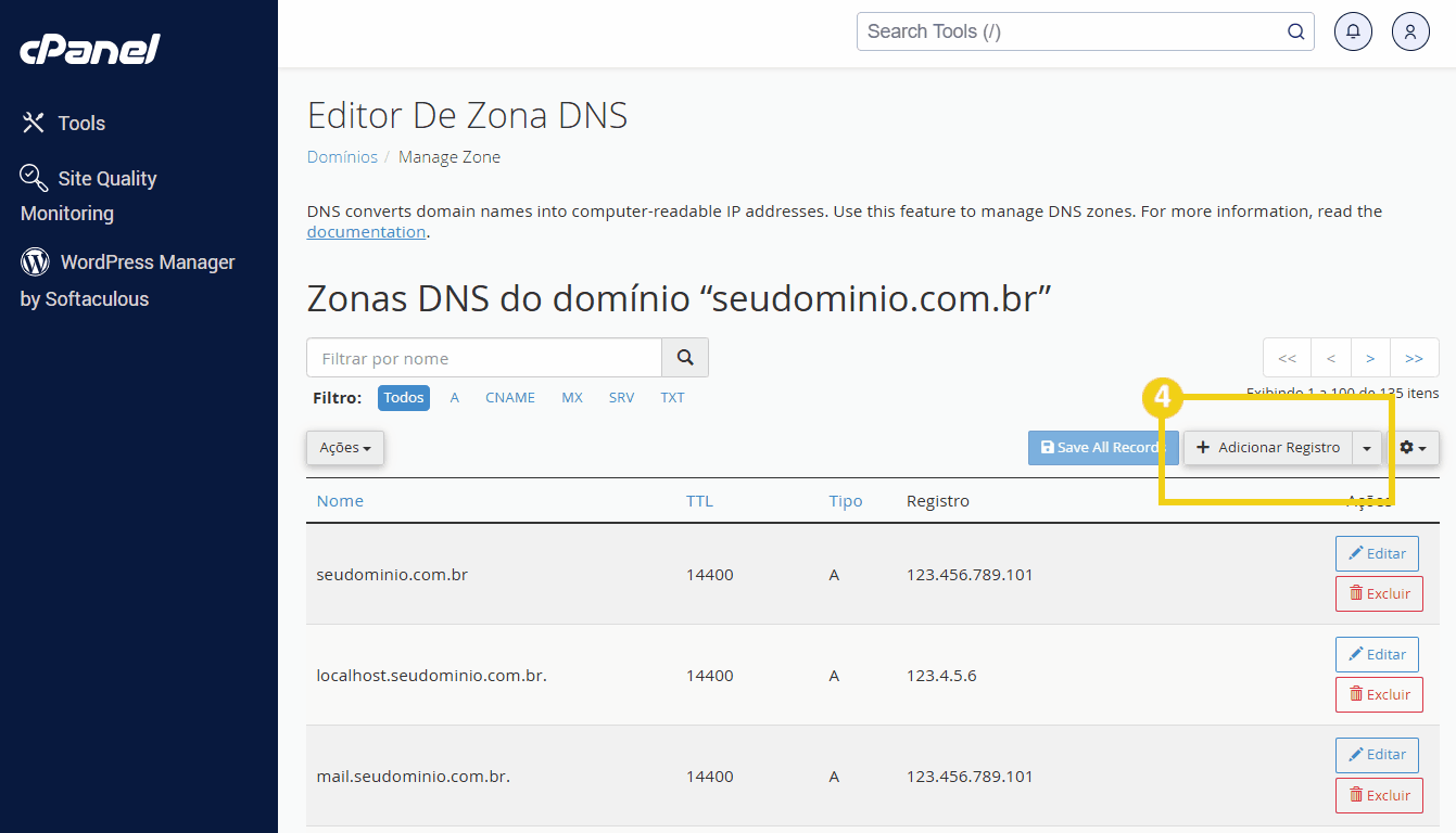 Imagem da interface do Painel de Controle de Zona DNS do domínio mostrando configurações de DNS, registros e opções para adicionar ou editar registros.