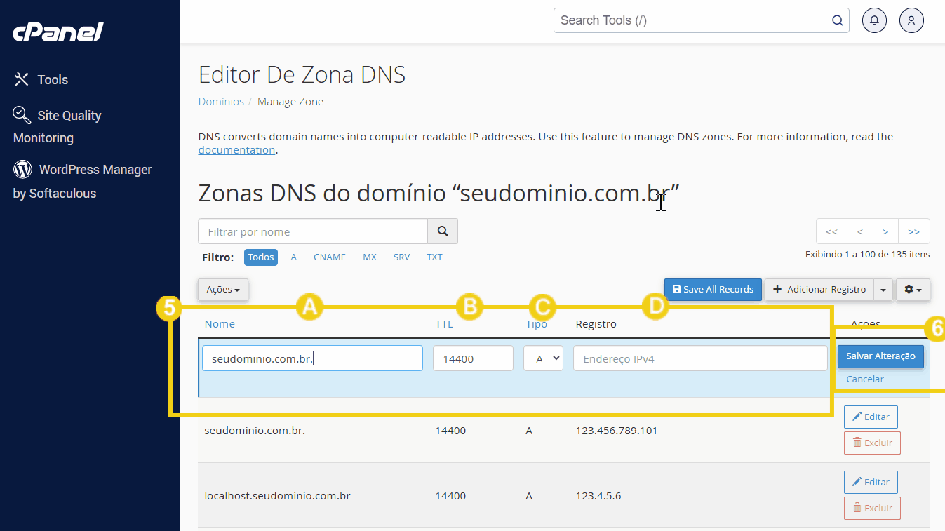 Tela do painel de controle de DNS mostrando a configuração da zona DNS para o domínio seudominio.com.br, incluindo os registros e opções de edição.