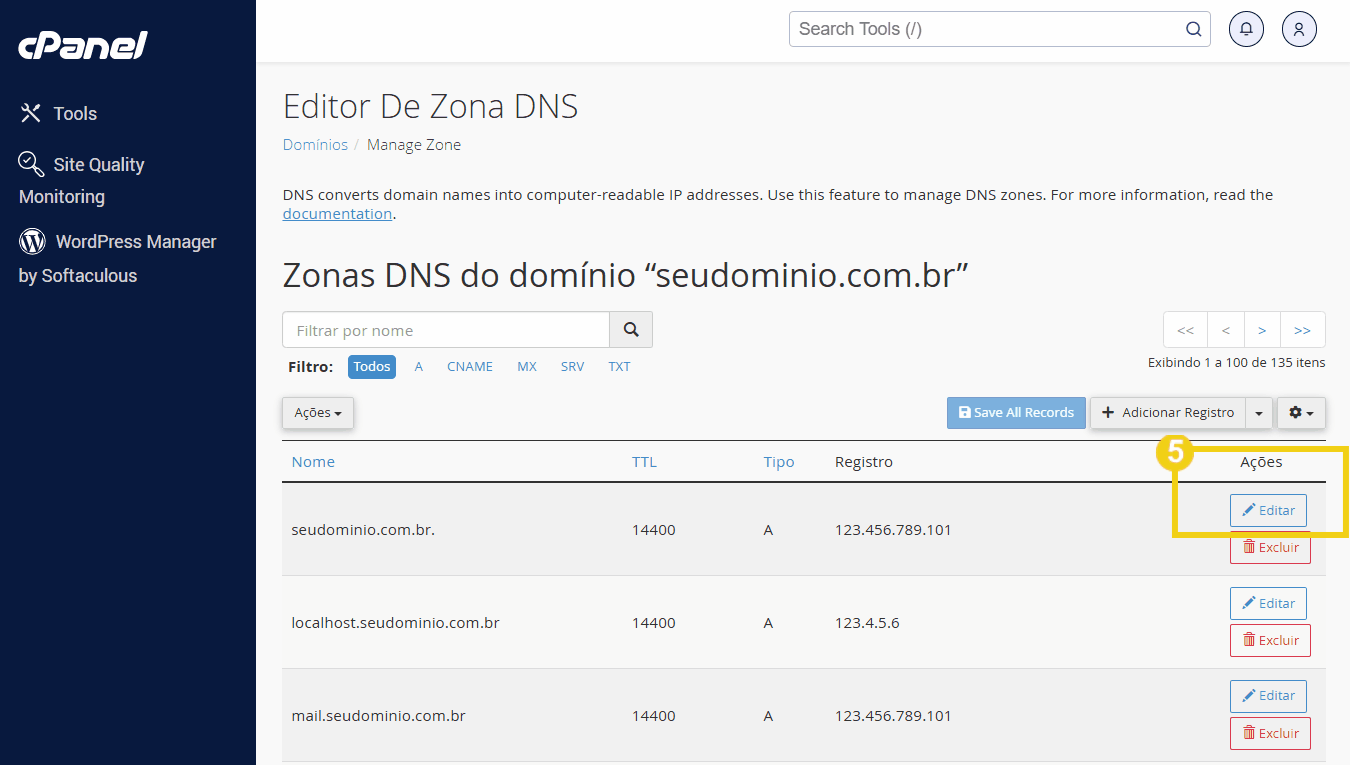  Imagem do painel de gerenciamento de DNS do site mostrando registros A e opções de editar  