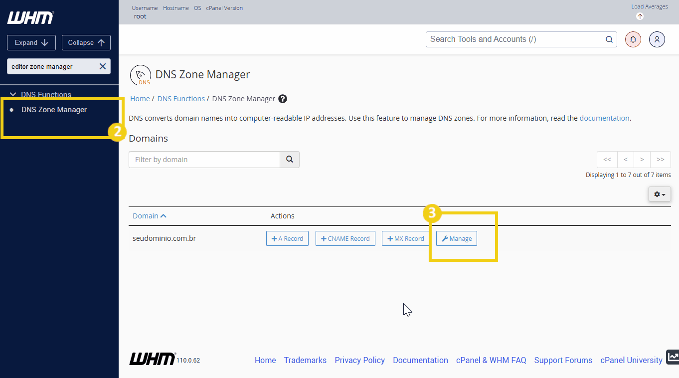 Imagem mostrando o painel do gerenciador DNS do WHM com a opção “Manage” destacada para um  domínio 