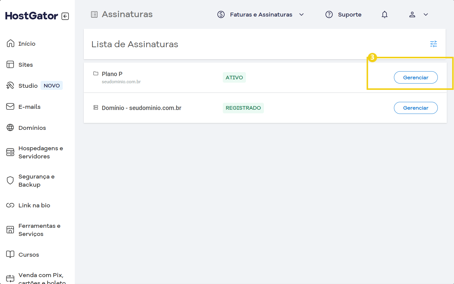 Imagem da plataforma HostGator exibindo a lista de assinaturas com destaque para a opção de gerenciar o domínio e o plano ativo.