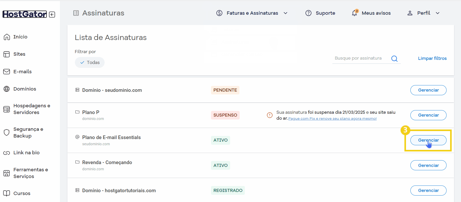 Tela de gerenciamento de assinaturas em uma plataforma de hospedagem de sites, mostrando status como pendente, suspenso, ativo e registrado destacando o botaão de gerenciar