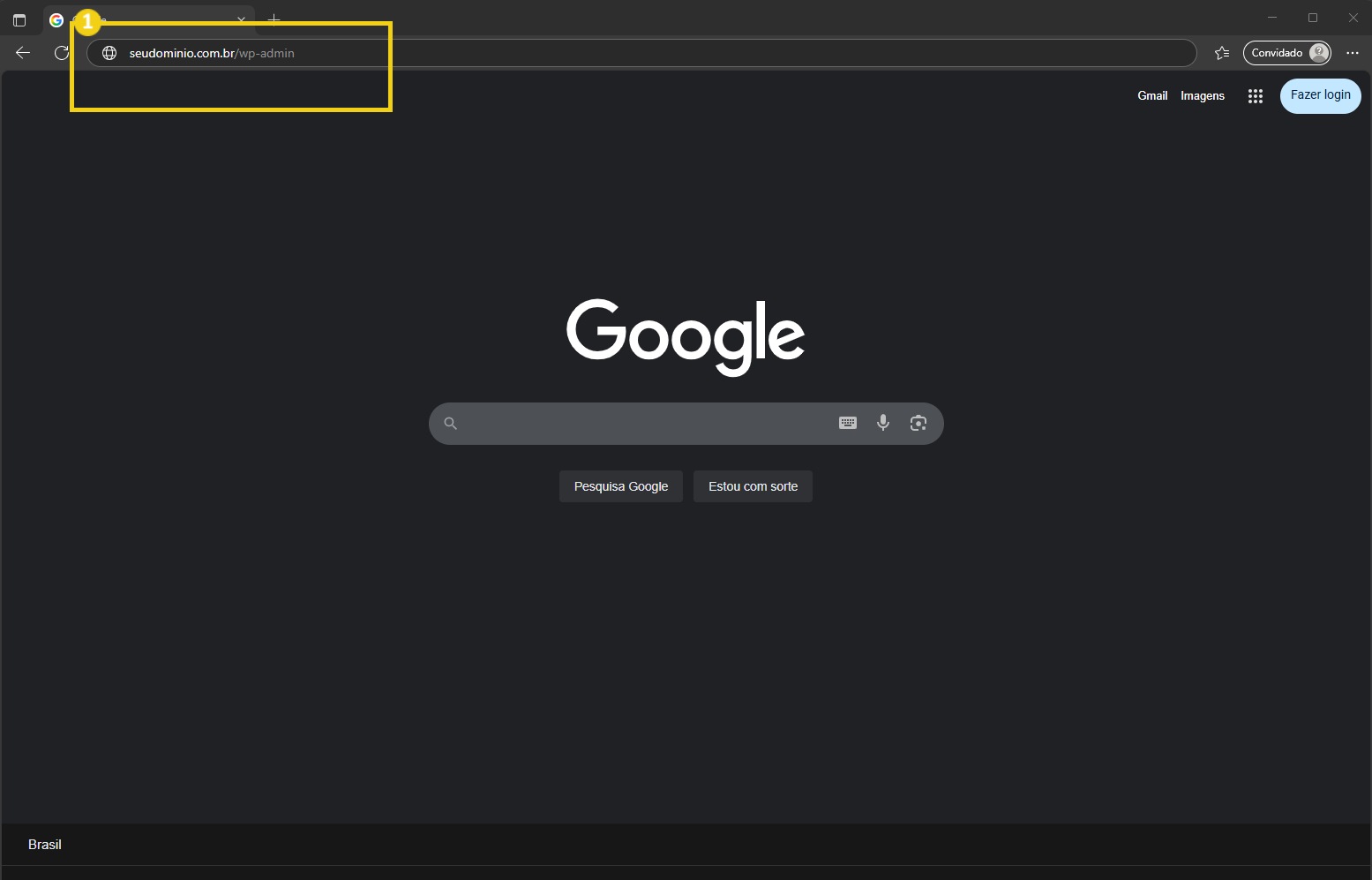 Imagem da página inicial do Google Chrome com acesso ao modo anônimo, destacando a URL 