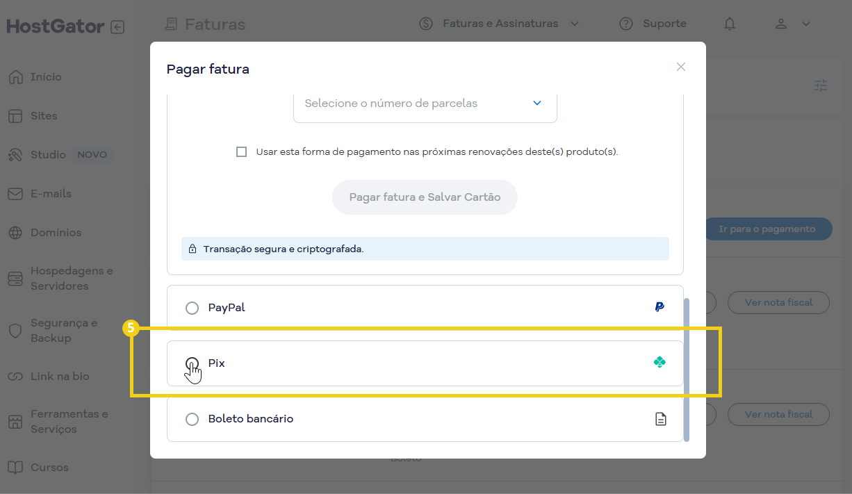 Imagem mostra a tela para pagar fatura escolhendo a opção "Pix"