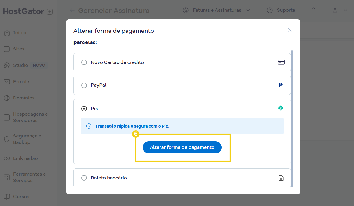 Imagem mostra a tela com a forma de pagamento Pix