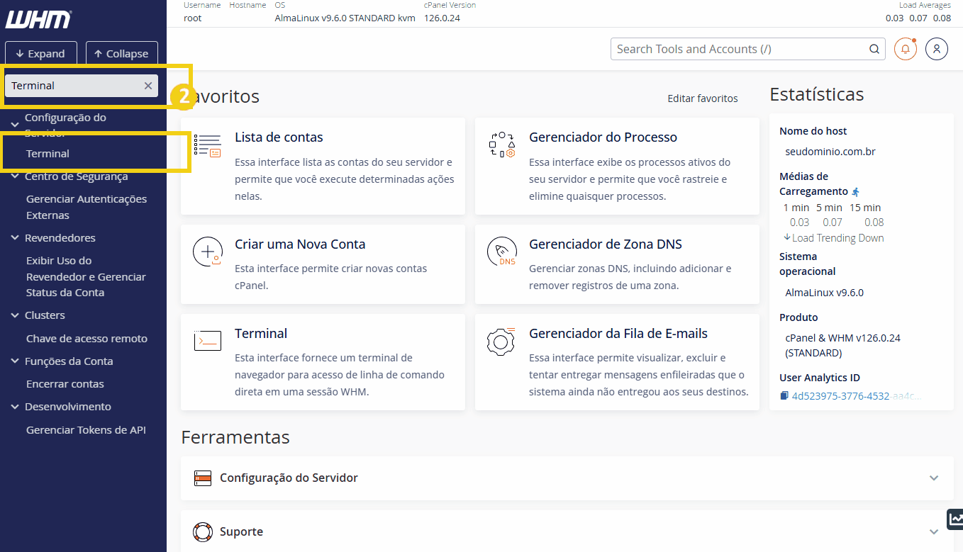 Imagem do painel de controle WHM mostrando o menu do terminal no técnico de administração de servidores