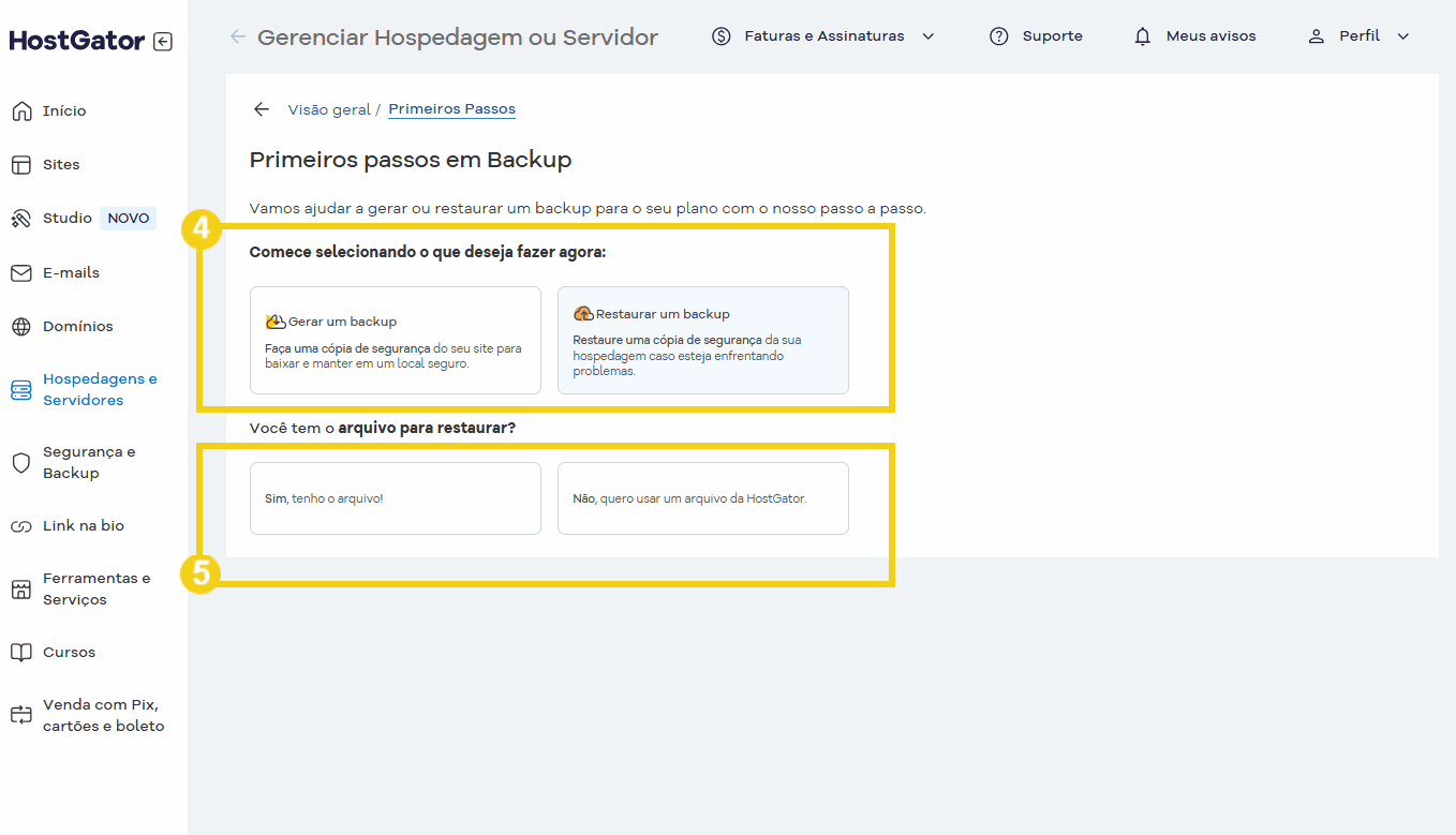 Tela de gerenciamento de hospedagem ou servidor na plataforma HostGator, mostrando opções para backups e restaurações de arquivos. 