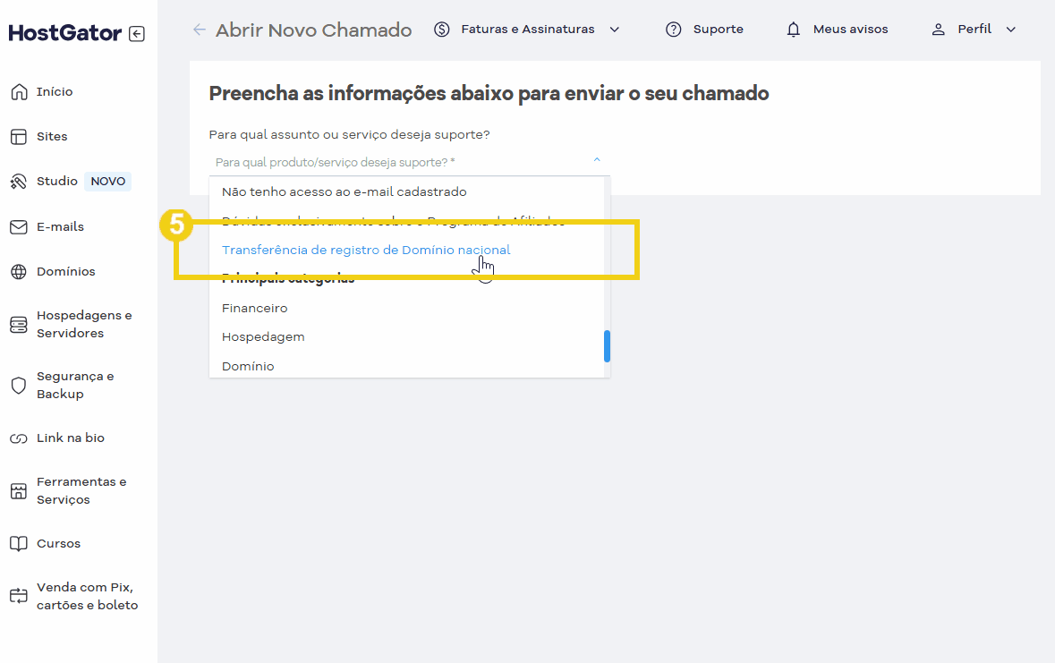 Imagem de uma tela de suporte do HostGator mostrando como fazer a transferência de registro de domínio para suporte técnico