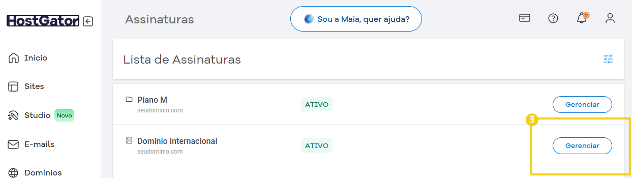 Tela do painel de assinaturas do HostGator mostrando duas opções ativas de planos: Plano M e Domínio Internacional, com botões para gerenciar.