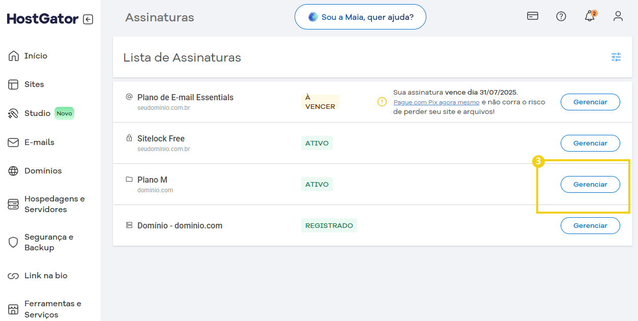 Imagem de painel de gerenciamento de assinaturas na plataforma HostGator mostrando diferentes planos ativos e registrados.