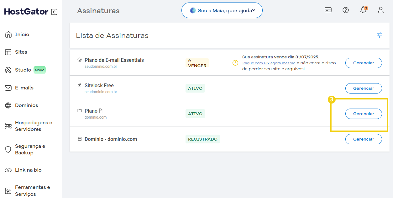 Tela de gerenciamento de assinaturas em uma plataforma de hospedagem de sites, mostrando status como pendente, suspenso, ativo e registrado destacando o botão de gerenciar