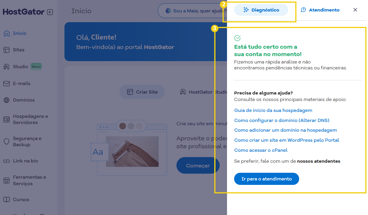 suporte diagnostico tudo certo-0.png