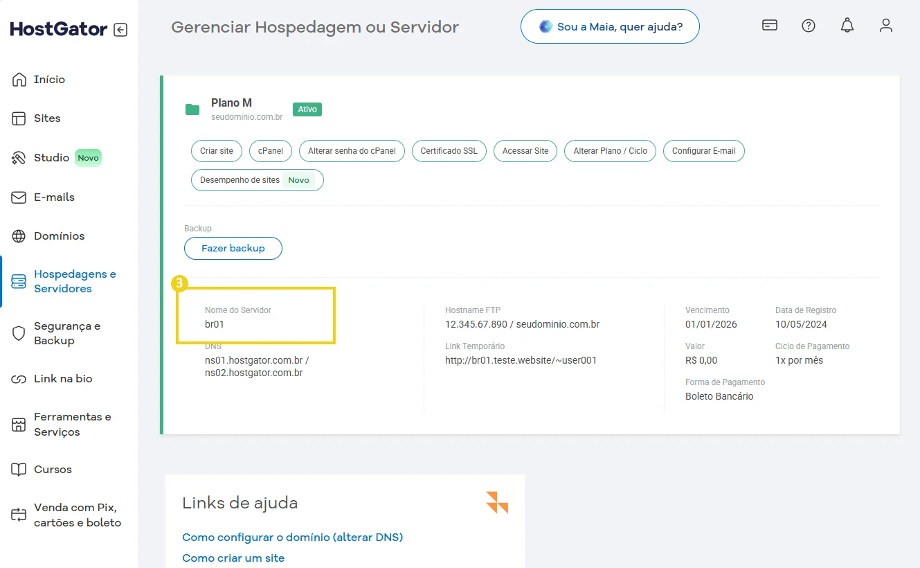 Tela de gerenciamento de hospedagem de servidor na plataforma HostGator, exibindo detalhes de backups, nomes de servidores e configurações de DNS.