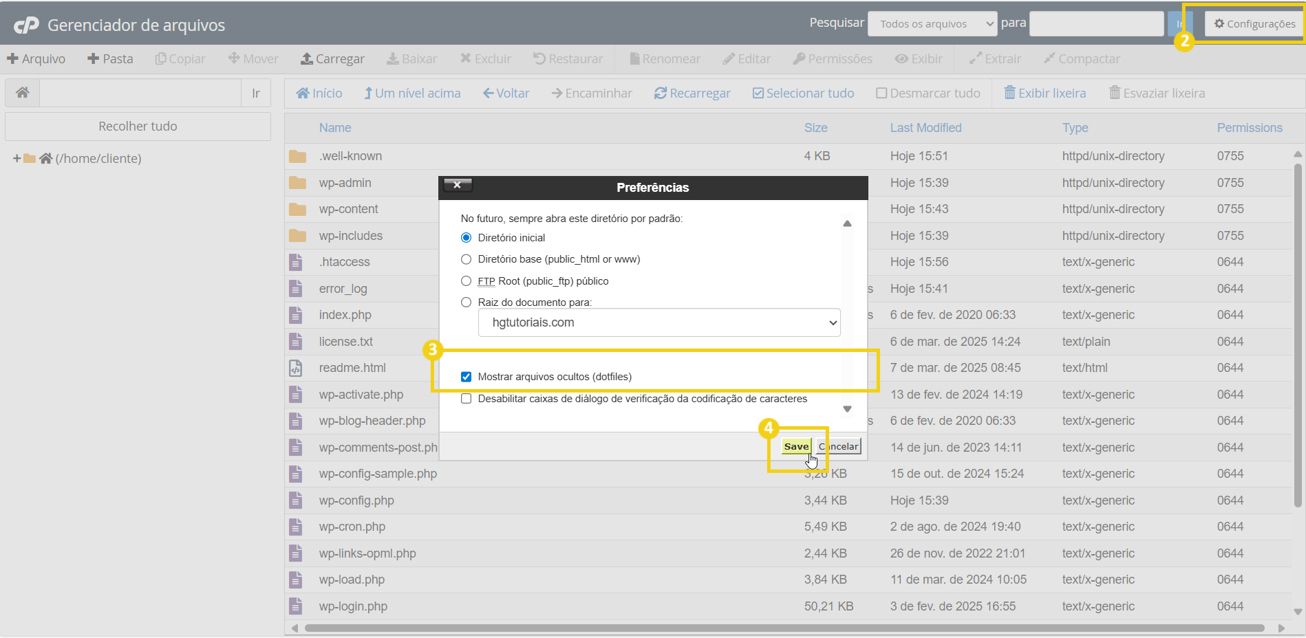 Tutorial passo a passo sobre configurações de arquivos no painel de gerenciamento de arquivos, destacando a ativação de arquivos ocultos e salve.