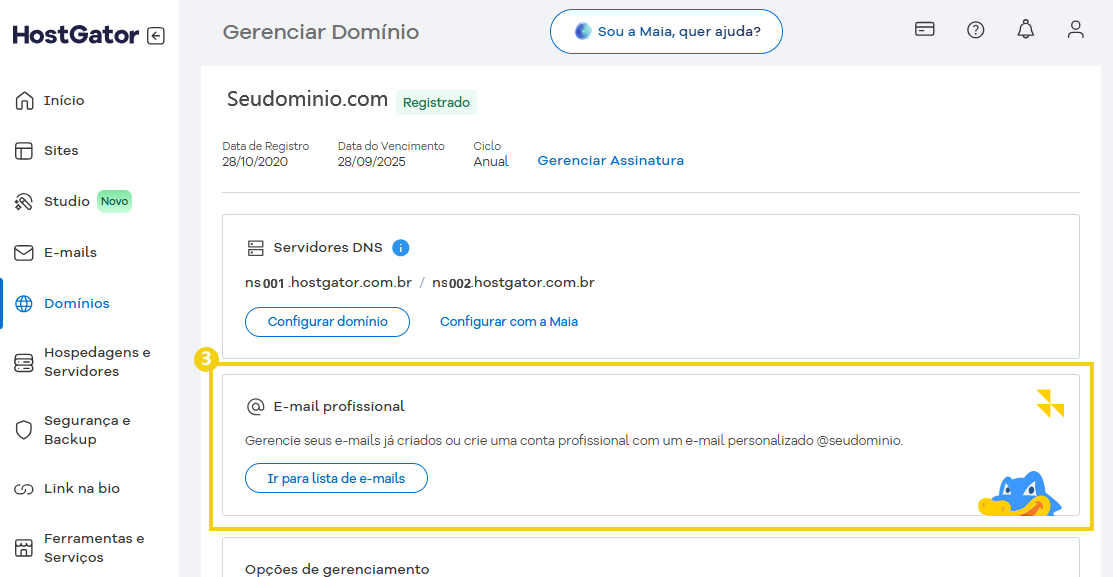 Imagem da interface do painel de controle do HostGator, mostrando as opções de gerenciamento de domínio e email profissional. Ideal para quem busca otimizar seu site com hospedagem confiável.