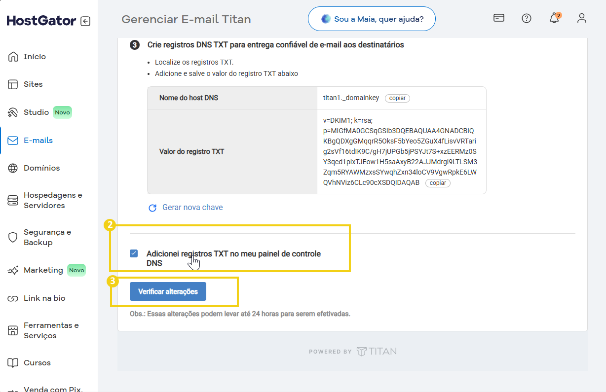 Imagem do painel de controle do Gerenciador de E-mail Titan, mostrando a opção de adicionar registros TXT e verificar alterações para configurar DNS.