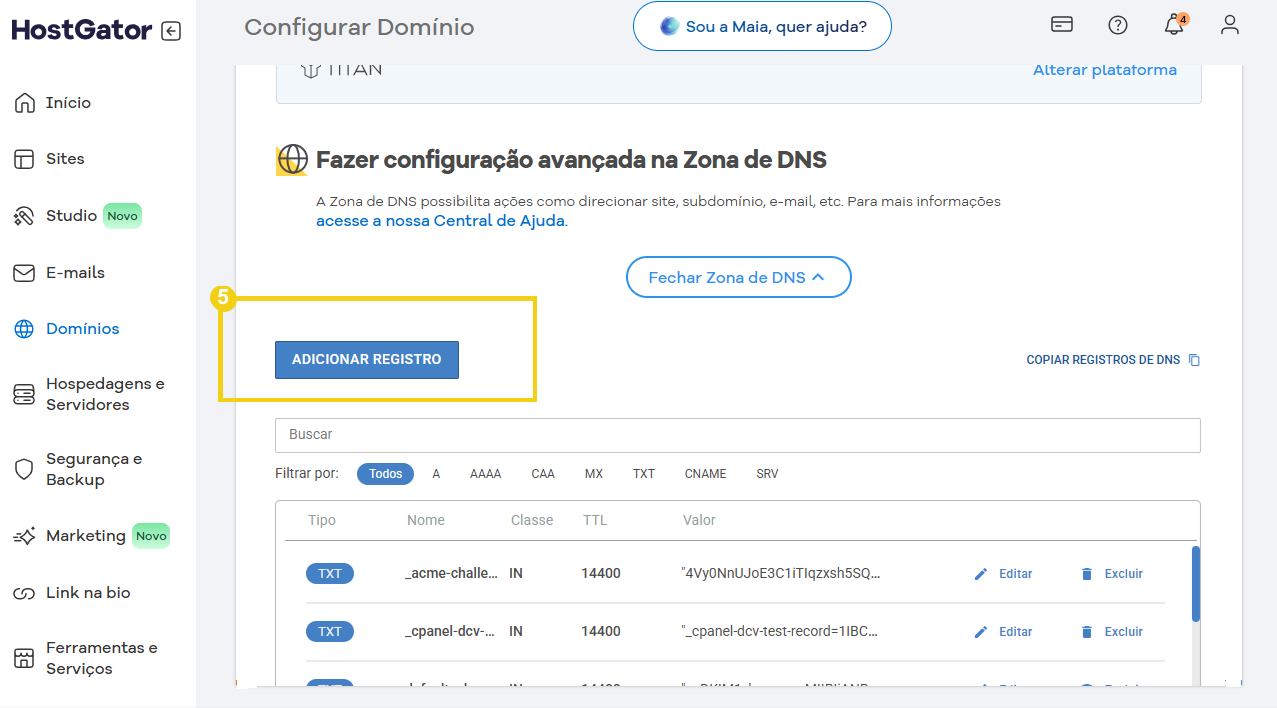 Imagem mostrando a configuração avançada na zona de DNS do painel de controle do HostGator, com destaque na opção de adicionar registro. Essential para gerenciar DNS de domínios.