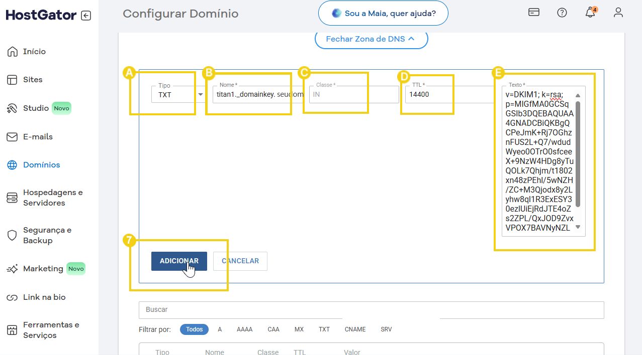 Imagem de configuração de domínio na plataforma HostGator, mostrando campos para tipo de domínio, nome, classe, TTL e texto DNS, com botão de adicionar novo domínio.