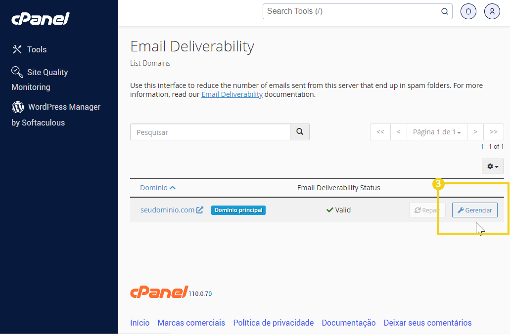 Imagem da interface do cPanel mostrando a gerência do domínio principal com a opção de gerenciamento de email delivery.