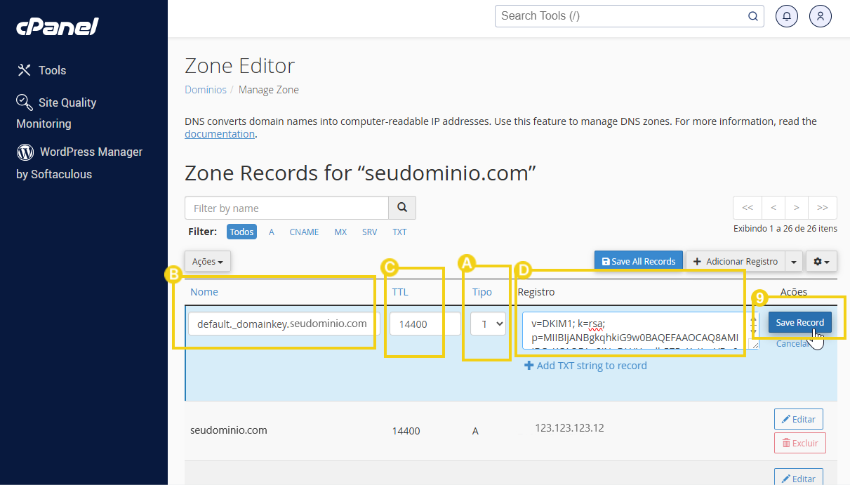 Configuração de registros DNS no cPanel para domínio seudominio.com, incluindo opções de TTL, tipo de registro e salvar registros DNS.