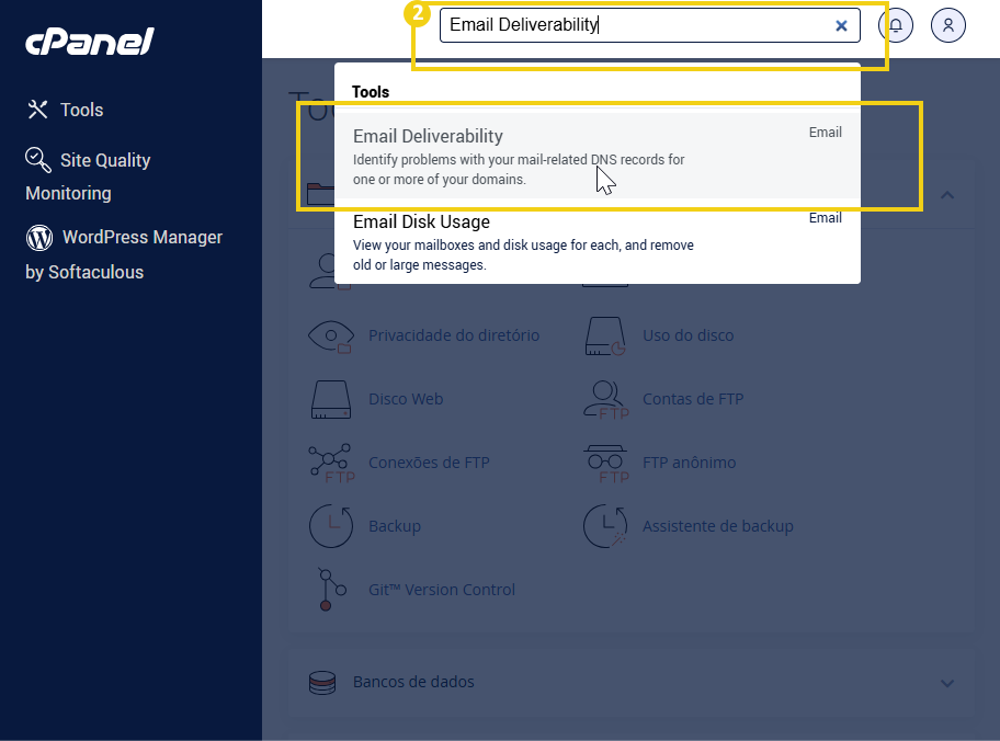 Tela de painel do cPanel com busca por 'Email Deliverability', mostrando a ferramenta que identifica problemas com registros DNS relacionados ao email do domínio.