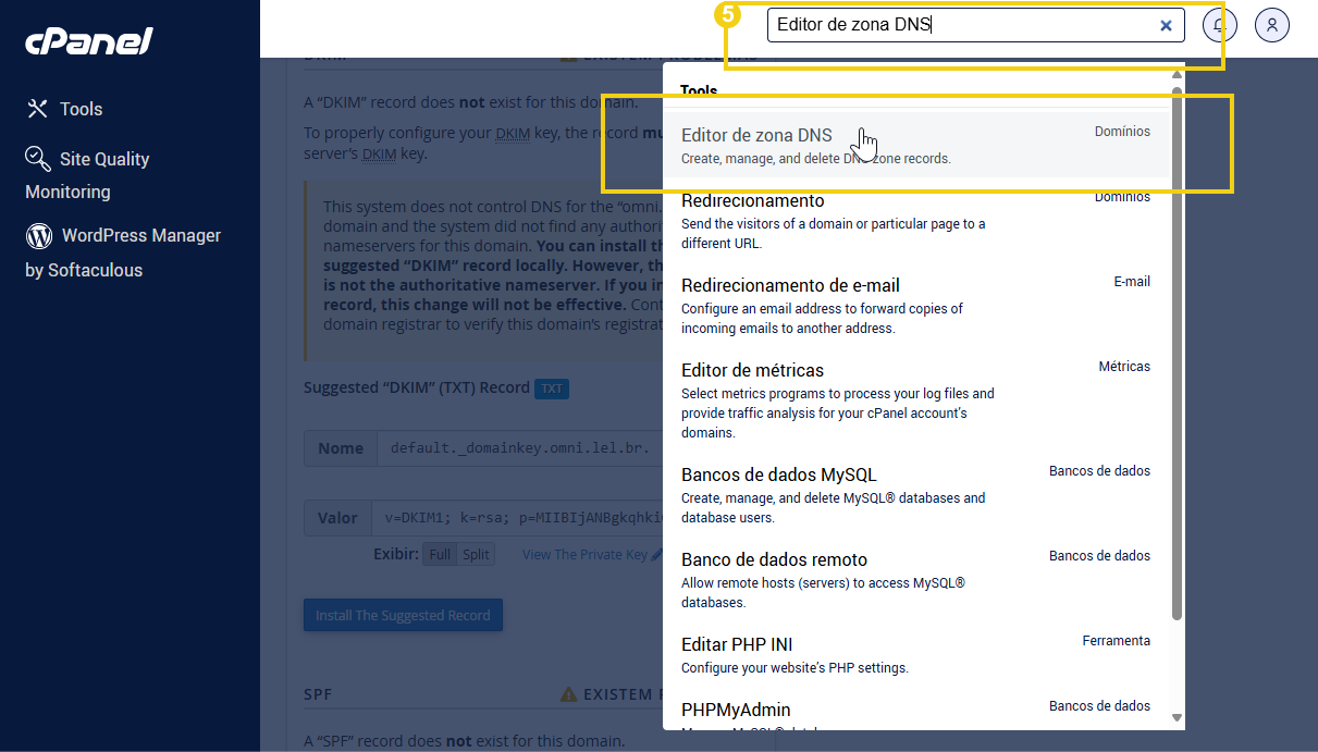 Imagem mostrando o painel de controle do cPanel acessando a ferramenta de gerenciamento de DNS para configuração de domínio.