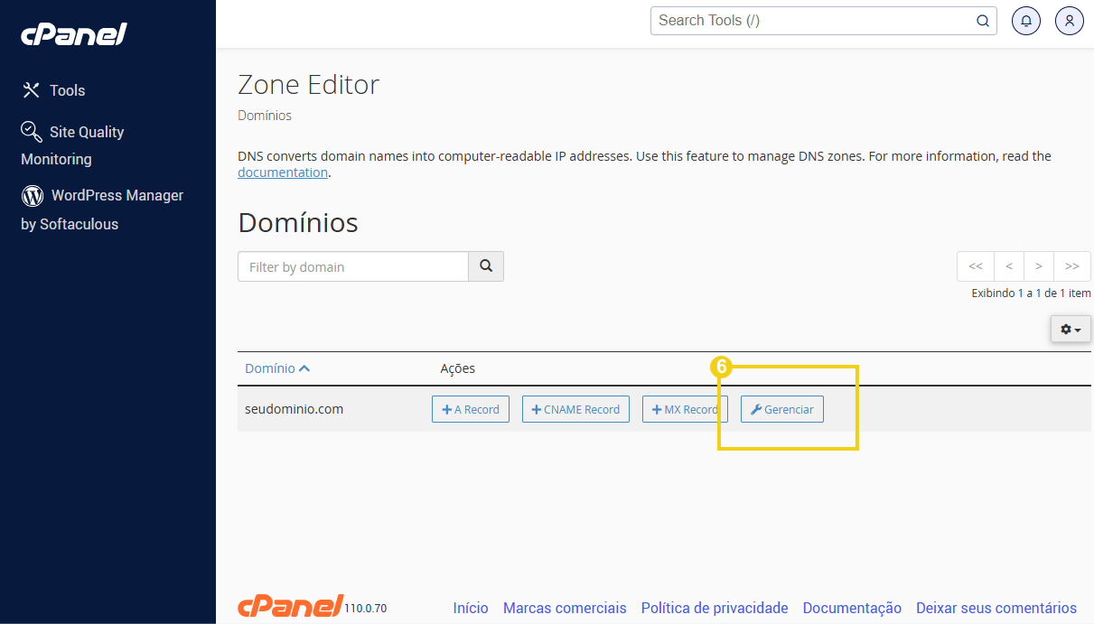 Tela do painel do cPanel mostrando o editor de zonas DNS com a opção de gerenciar um domínio e criar registros A, CNAME e MX.
