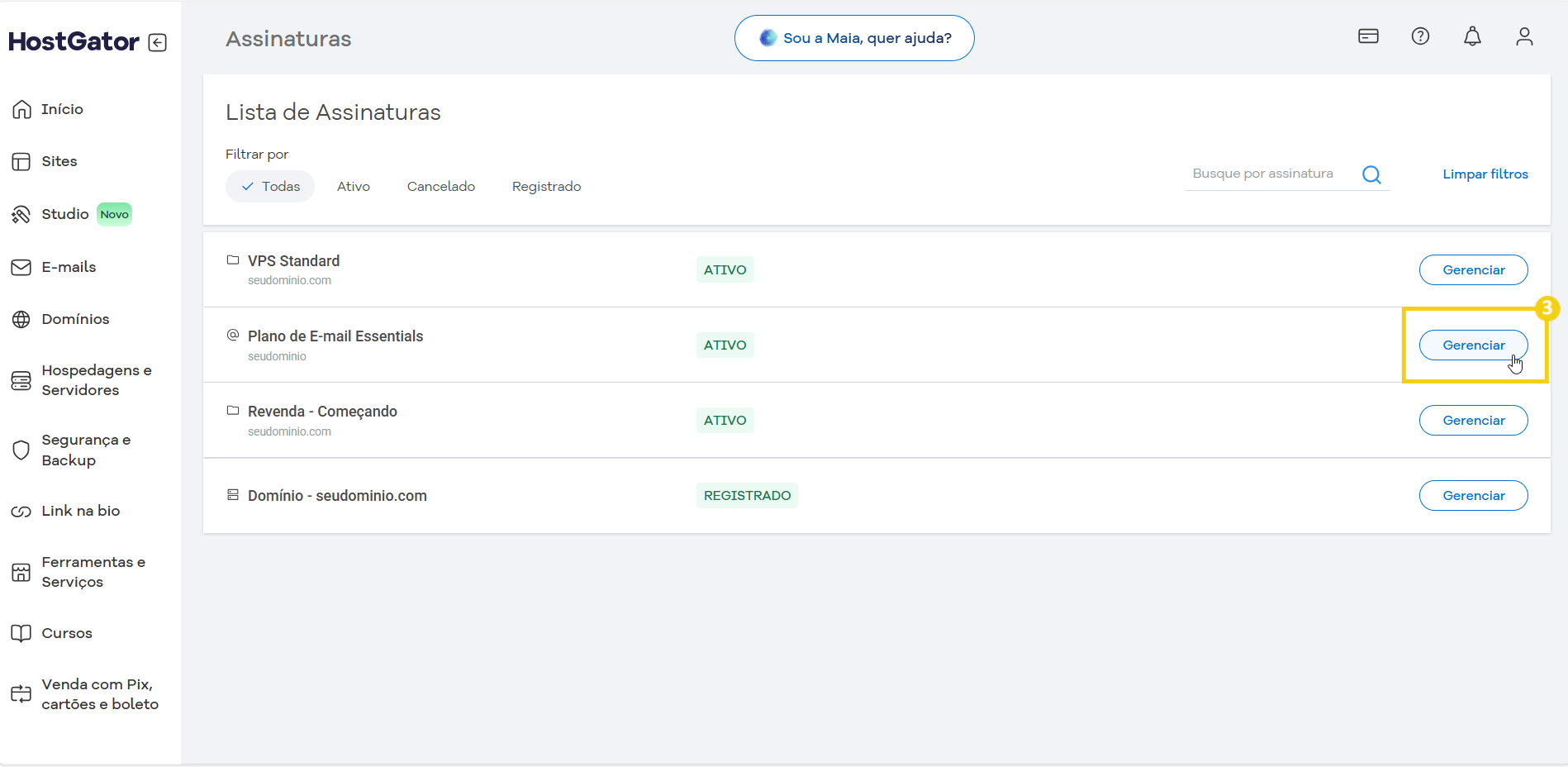 Tela de gerenciamento de assinaturas no HostGator com diversas opções ativas e o destaque para a assinatura do plano de email Essential.